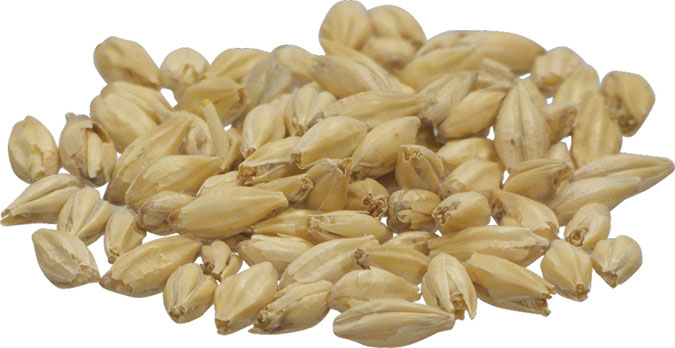 Pilsen Malt 5 lb Milled